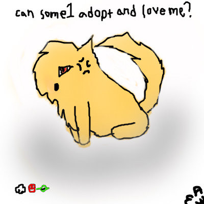 cat-adpotable