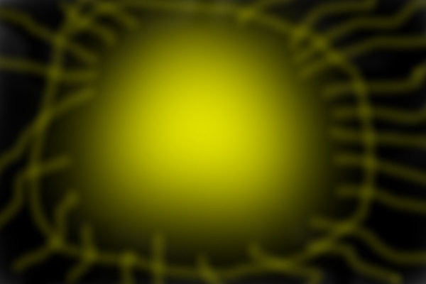 the-light-at-the-end-o