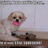 0b8b7ef7-1733-4396-ba1a-510453f95be5.jpg