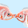 Kissing fish I drew on the Happy Fish site