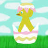 BABY CHICK