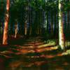 Forest of no return