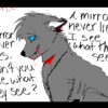 mirrors cant see everything
