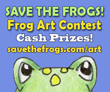 frog icon