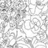 colour-me-in.jpg