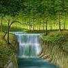 forest2