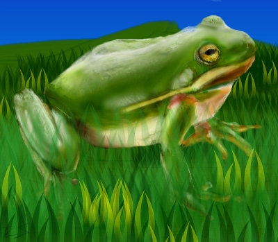 froggie012.jpg