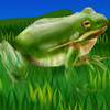 froggie012.jpg