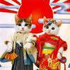 Teh Chinese Kittehs