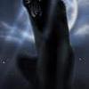 Welcome to the dark Side