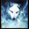 kiba-wolfs-rain-11068639-540-560.jpg