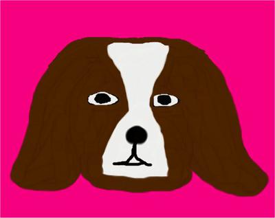 puppy