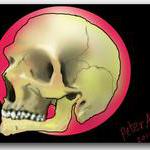 skull.jpg