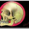 skull.jpg