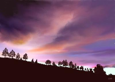 sunset silhouettes