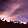 sunset silhouettes