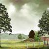 forecast rain