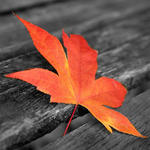 ajdebt's picture