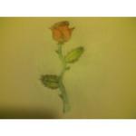 coolkid5's picture