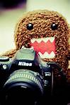 1domo1's picture
