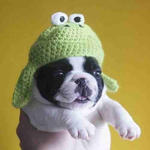 VoluptuousSnail's picture