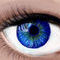eye