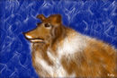 My dog
