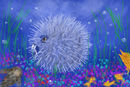 BIG PUFFER FISH