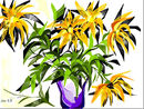 Yellow Flowers