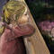 the girl watching flowers by tania