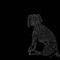 Doggie by GDragon