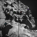 rosetta-8 rosetta-8